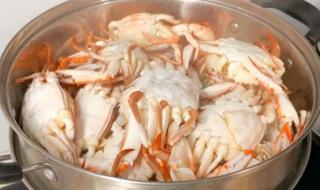 鲜螃蟹保存方法 活螃蟹怎么储存